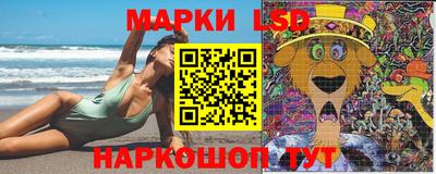 мяу мяу мука Кандалакша