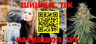 гашик Камышлов