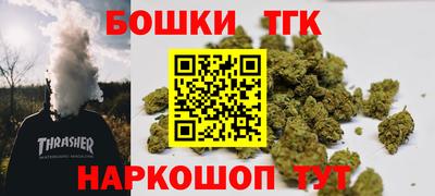 гашик Камышлов