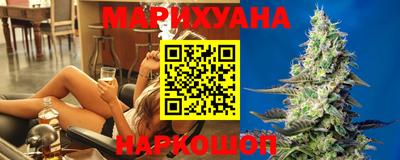 гашик Камышлов