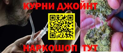 гашик Камышлов