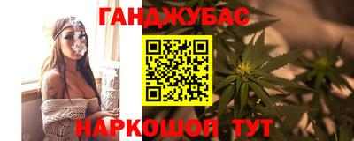 гашик Камышлов