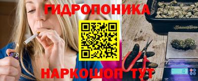 мяу мяу мука Кандалакша