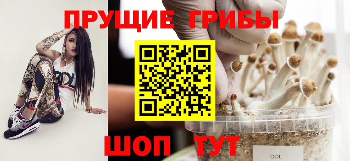 Галлюциногенные грибы прущие грибы Магнитогорск