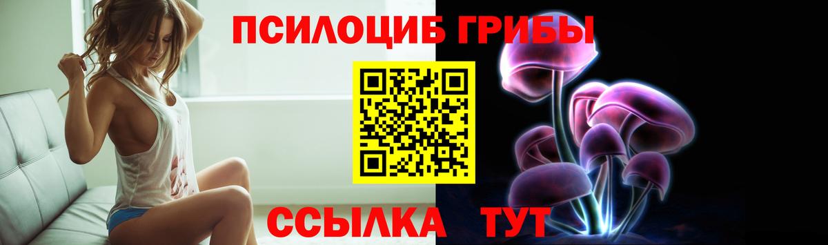 Псилоцибиновые грибы Psilocybine cubensis  Вход с VPN  Магнитогорск 